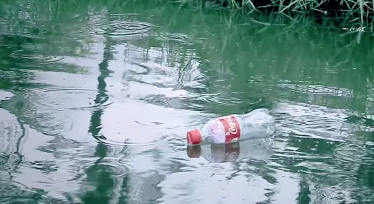 cola